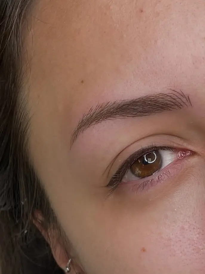 Estudio de la forma de las cejas
